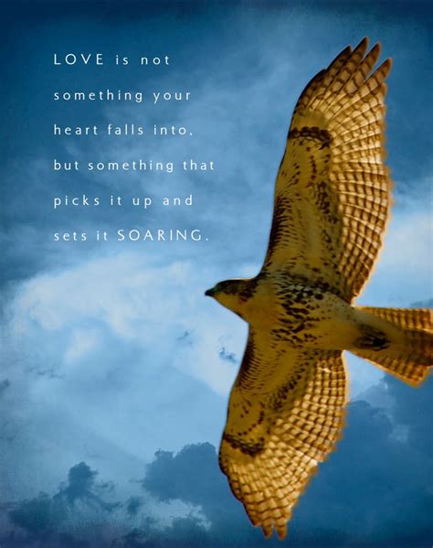 Inspirational Quotes About Hawks. QuotesGram