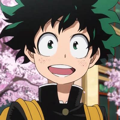 Midoriya Izuku | 2048