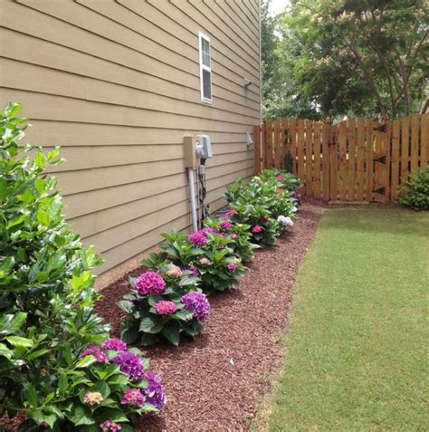 Simple and clean. Hydrangeas, mulch & grass... | Side yard landscaping ...