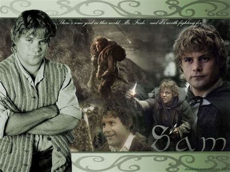 Samwise Gamgee - Samwise Gamgee Image (12089158) - Fanpop