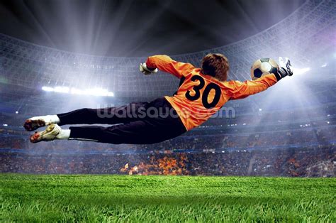 Goalkeeper Wallpapers - Top Free Goalkeeper Backgrounds - WallpaperAccess