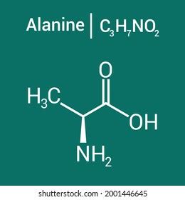 Chemical Structure Alanine C3h7no2 Stock Vector (Royalty Free) 2001446645 | Shutterstock