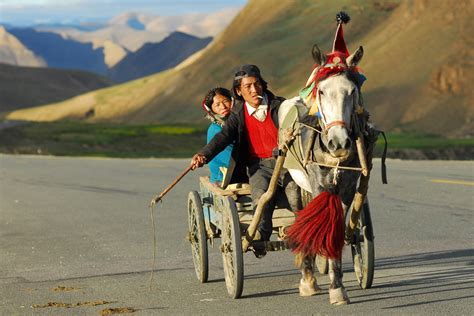 Images Gratuites : paysage, transport, tourisme, Tibet, entraîneur, Cheval comme le mammifère ...