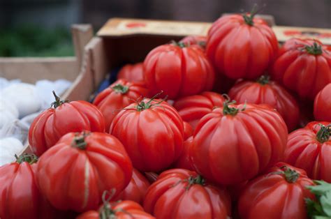 Growing Heirloom Tomatoes in a Container Garden - ilovetomatoes.com