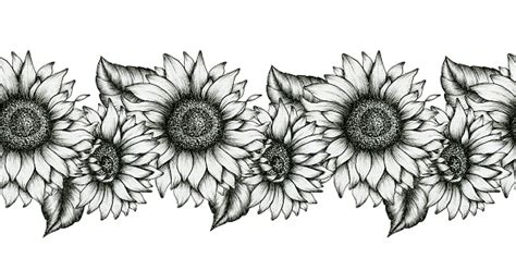 Black And White Sunflowers Seamless Border Realistic Wildflowers Decorative Illustration ...