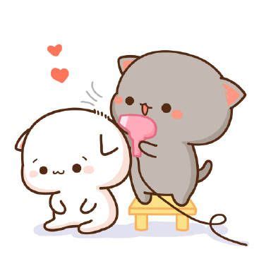 Ghim trên Couple Cat | Mèo, Động vật vui nhộn, Động vật