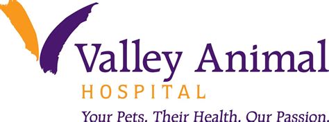 VCA Valley Animal Hospital and Emergency Center | Tucson, AZ 85711 ...