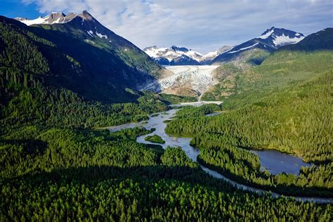 Defending America’s Climate Forest | Earthjustice