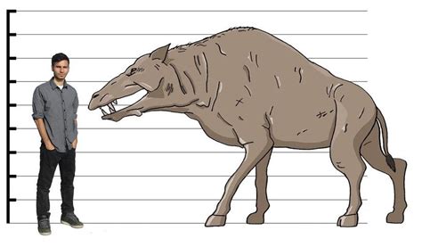 biology - Entelodont domestication - Worldbuilding Stack Exchange