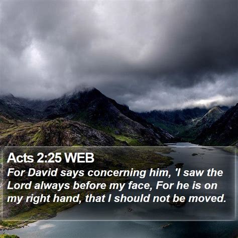 Acts 2:25 WEB - For David says concerning him, 'I saw the Lord