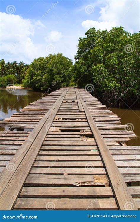 Deteriorated wooden bridge stock image. Image of nature - 47691143