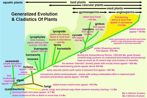 2.29: Evolution and Adaptation To Extremes - Geosciences LibreTexts