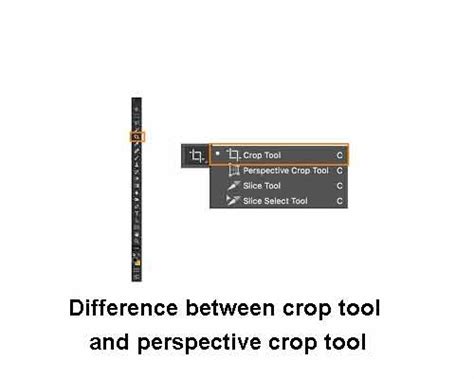 What's difference between crop tool and perspective crop tool Photoshop