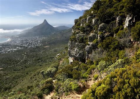 Hiking Table Mountain: the 5 Best Trails You Need to Check Out