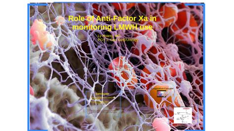 Role of Anti-Factor Xa in monitoring LMWH use by Ly Hoang on Prezi