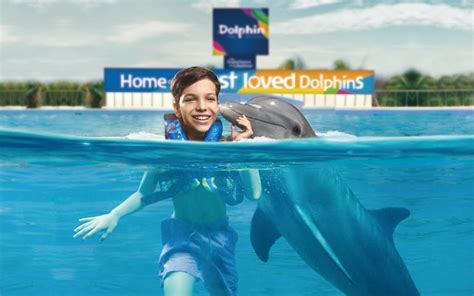 Dolphin Discovery Playa Del Carmen: Dolphin Encounter Tickets