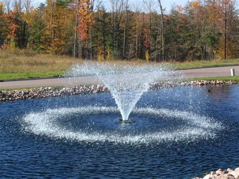 fountain in the pond | Pond aerator, Pond fountains, Pond landscaping