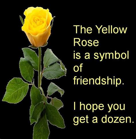 The yellow rose is a symbol of friendship. I hope you get a dozen ...