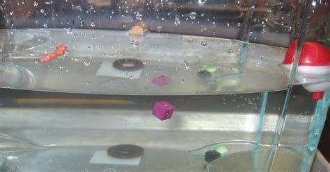 Mr. Williams 6th Grade Science Blog: Sink or Float - An Introduction to ...