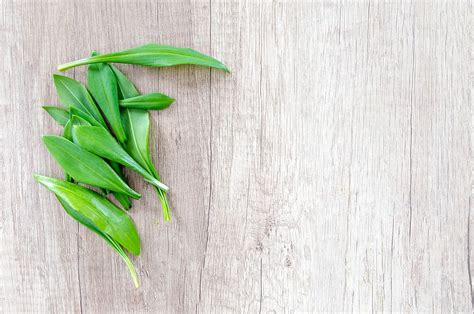 green leaf, wood, table, herb, garlic, food, green, spice, leaf, vegetable | Pxfuel