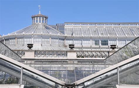 Old Greenhouse stock image. Image of bushes, garden, view - 9927539