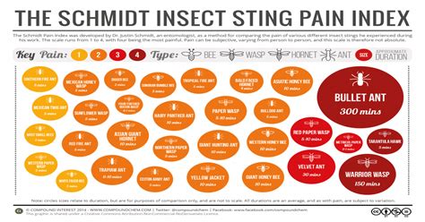 The Schmidt Sting Pain Index is a pain scale rating the relative pain caused by different ...