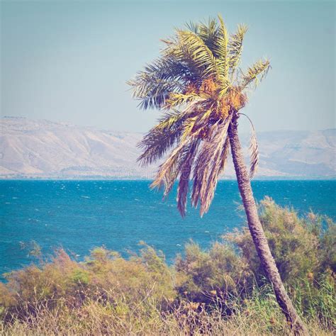 Galilee Sea stock photo. Image of holy, haze, height - 41549192