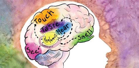 How the Brain Senses Science Camp - Cultivated Learning