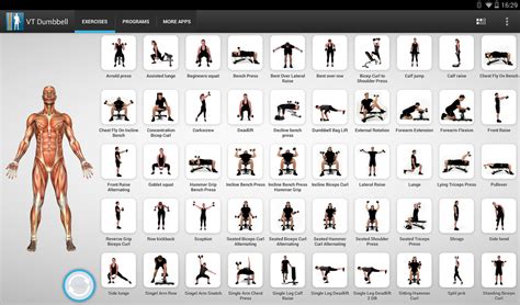 dumbbell exercises - Google Search | Dumbbell workout, Dumbbell workout ...