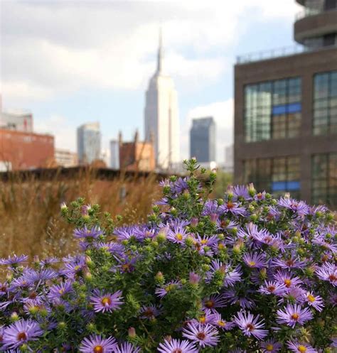 5 Rooftop Parks and Gardens to Visit in New York | Garden Destinations Magazine