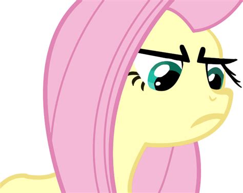 Angry Fluttershy by Vecony on DeviantArt