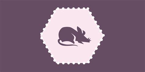Signe zodiaque chinois Rat - magicmaman.com
