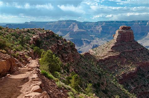 Best Kaibab National Forest Stock Photos, Pictures & Royalty-Free Images - iStock