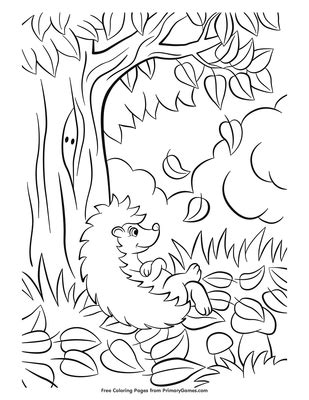 Fall Leaves For Coloring Pages