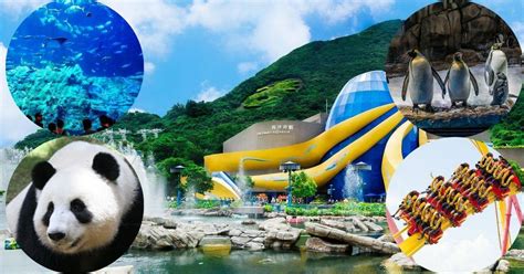 Hong Kong Ocean Park | Rides, Map, Tickets, Price | Explore | Weekend ...