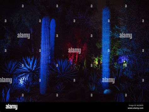 Al Noor Island, Sharjah at night Stock Photo - Alamy