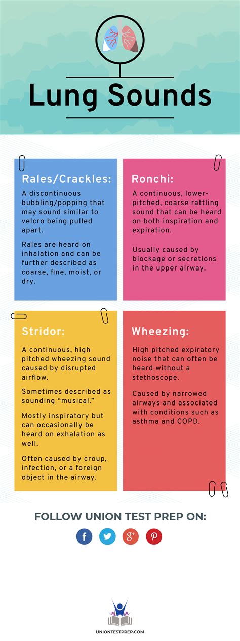 Lung Sounds Chart