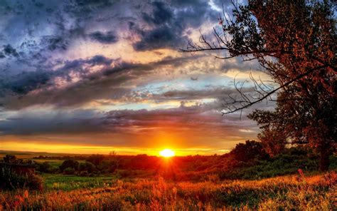 Autumn Sunsets Wallpaper Backgrounds - WallpaperSafari