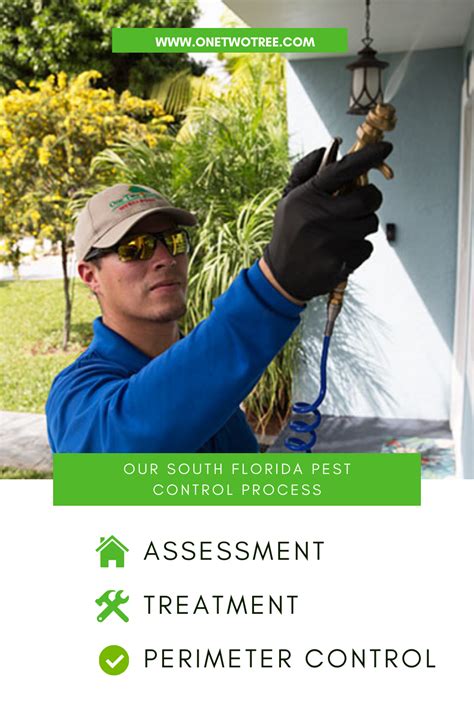 Our South Florida Pest Control Process | Pest control, Pests, South florida