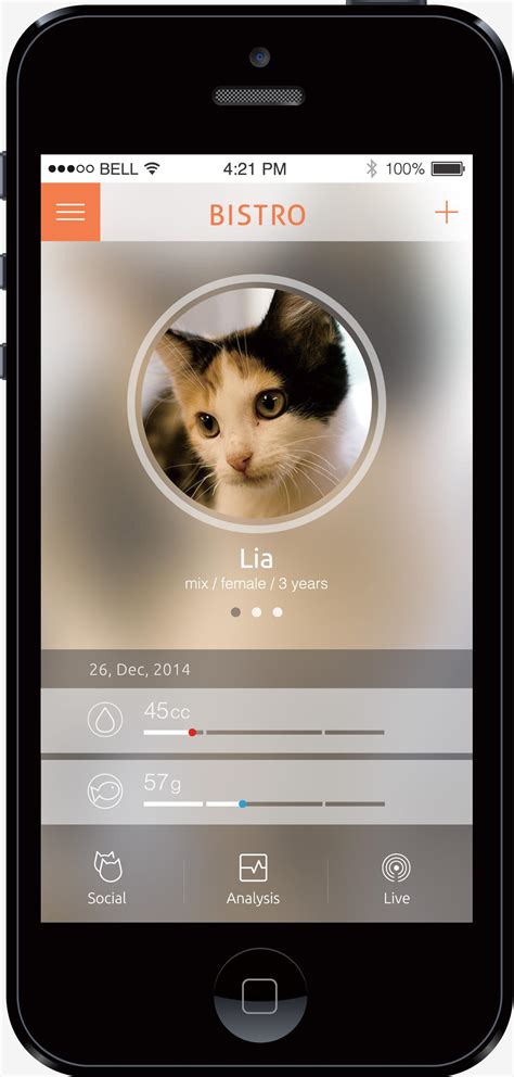 The Bistro feeder tracks your cats with feline facial recognition ...