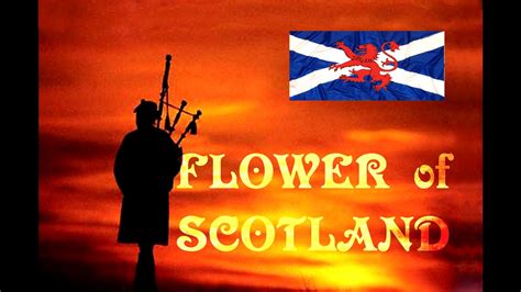 Flower Of Scotland Edinburgh Tattoo | Best Flower Site