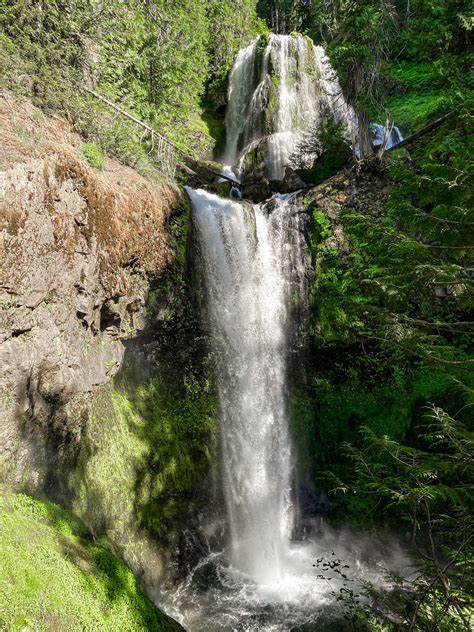 Falls Creek Falls: What to Know Before Hiking - Maddie Deer