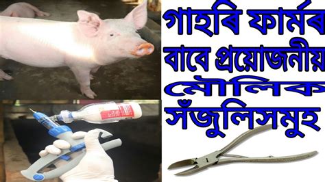 Most important tools for pig farm. - YouTube