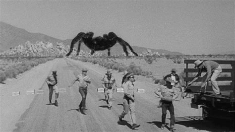 Tarantula (film) - Alchetron, The Free Social Encyclopedia