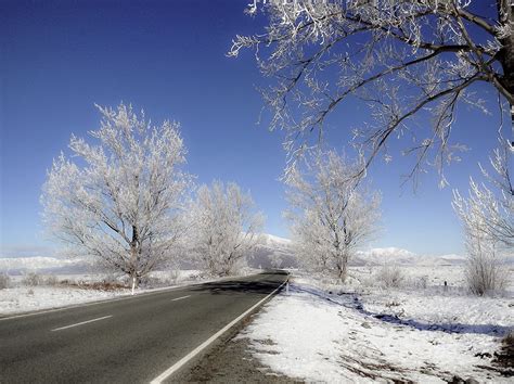 Winter festival South Island NZ | Winter festival, South island, Landscape