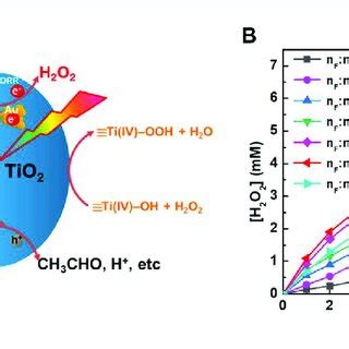 (A) Schematic illustration of H 2 O 2 synthesis and decomposition over ...