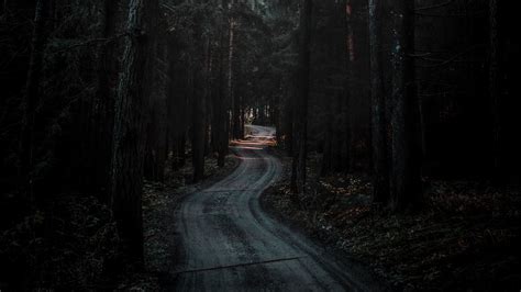 Forest Road Dark [3840x2160] : r/wallpaper