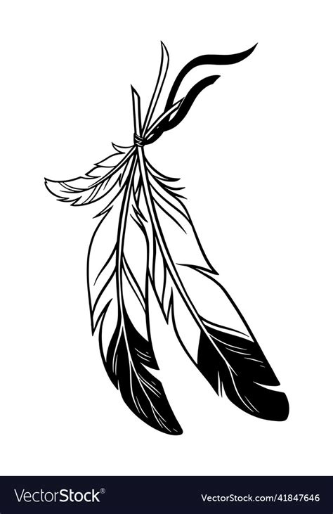 Beautiful feathers Royalty Free Vector Image - VectorStock