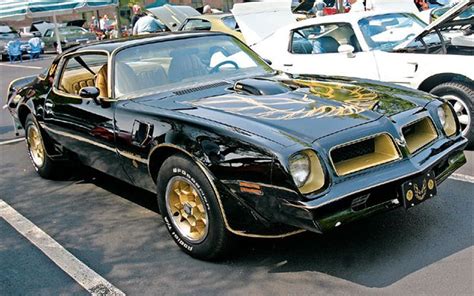 76 Trans Am Photo 8 | Pontiac, Pontiac firebird, Trans am