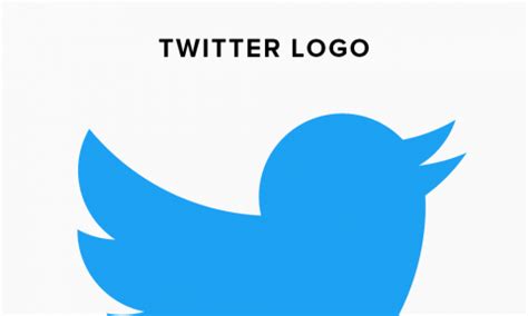 Twitter Logo Design – History, Meaning and Evolution | Turbologo